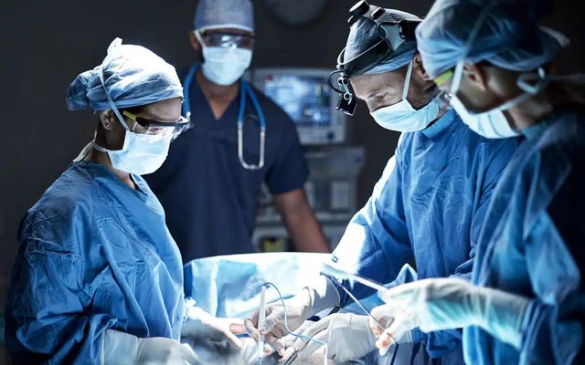 Università Campus Bio Medico: программы на английском языке