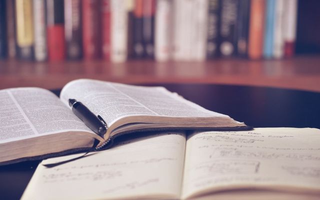 Какой язык необходим для обучения в итальянском университете?